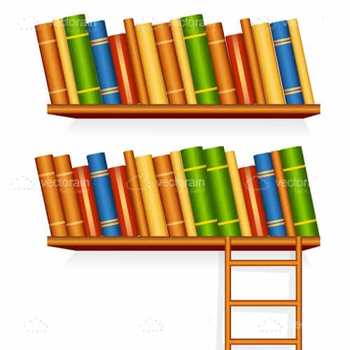 Illustrated Bookshelves with Books and Ladder